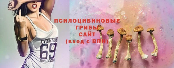 ГАЛЛЮЦИНОГЕННЫЕ ГРИБЫ Покровск