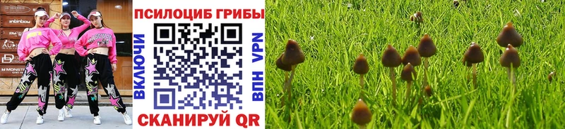 Псилоцибиновые грибы мицелий  Осташков 